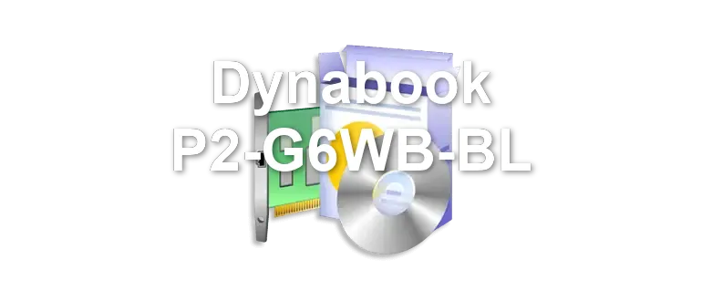 Dynabook P2-G6WB-BL