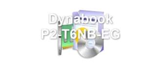 Dynabook P2-T6NB-EG
