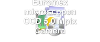 Euromex microscopen CCD 5.0 Mpix Camera