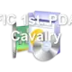 FIC 1st. PDA Cavalry