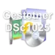 Gestetner DSc1025