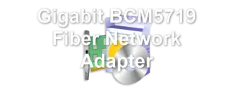 Gigabit BCM5719 Fiber Network Adapter