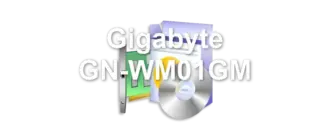 Gigabyte GN-WM01GM