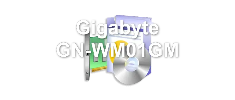 Gigabyte GN-WM01GM