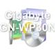 Gigabyte GN-WP30N