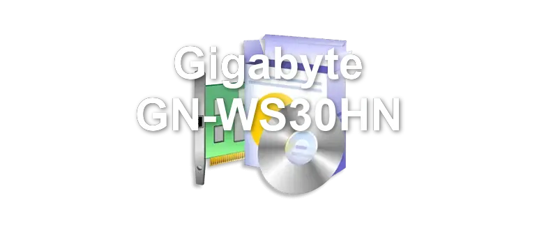 Gigabyte GN-WS30HN