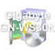 Gigabyte GN-WS30N