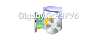 Gigabyte P37V5