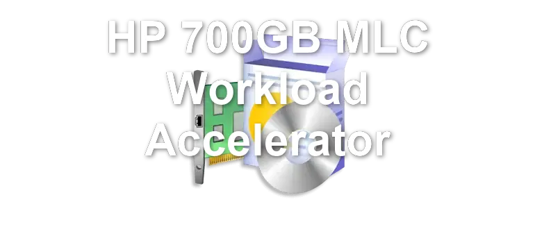 HP 700GB MLC Workload Accelerator
