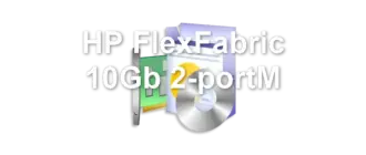 HP FlexFabric 10Gb 2-portM