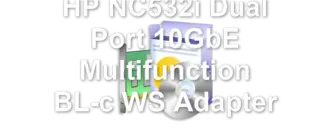 HP NC532i Dual Port 10GbE Multifunction BL-c WS Adapter