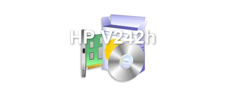 HP V242h