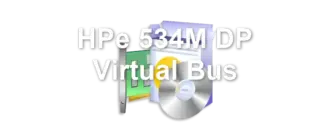 HPe 534M DP Virtual Bus