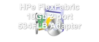 HPe FlexFabric 10Gb 2-port 534FLB Adapter