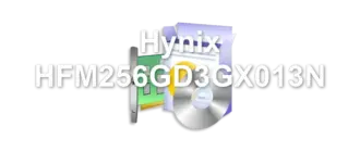 Hynix HFM256GD3GX013N