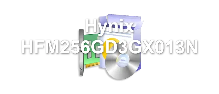 Hynix HFM256GD3GX013N