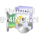 Hyundai HTLB14INC4Z1SSG