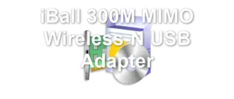 iBall 300M MIMO Wireless-N USB Adapter