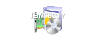 IBM 6317