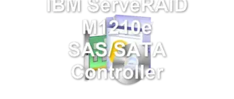IBM ServeRAID M1210e SAS/SATA Controller