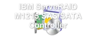 IBM ServeRAID M1215 SAS/SATA Controller