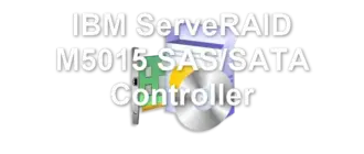 IBM ServeRAID M5015 SAS/SATA Controller