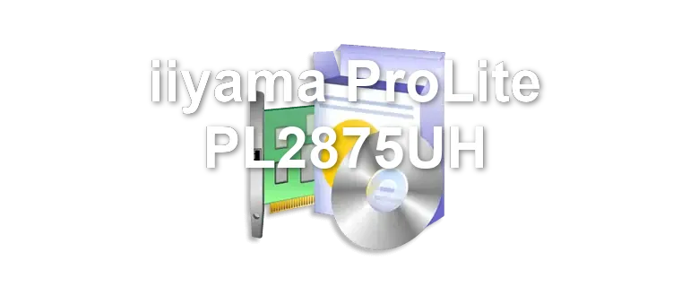 iiyama ProLite PL2875UH