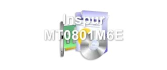 Inspur MT0801M6E