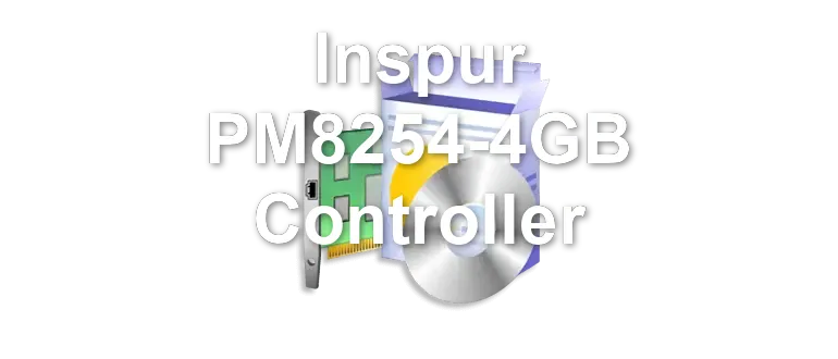 Inspur PM8254-4GB Controller