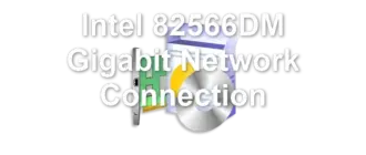 Intel 82566DM Gigabit Network Connection