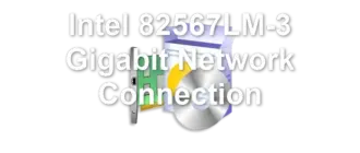 Intel 82567LM-3 Gigabit Network Connection