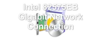 Intel 82575EB Gigabit Network Connection