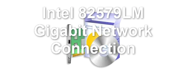 Intel 82579LM Gigabit Network Connection