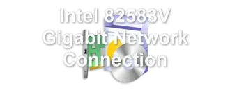 Intel 82583V Gigabit Network Connection