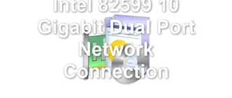 Intel 82599 10 Gigabit Dual Port Network Connection