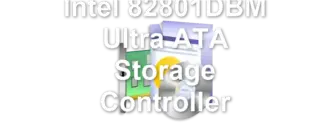 Intel 82801DBM Ultra ATA Storage Controller