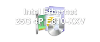Intel Ethernet 25G 4P E810-XXV