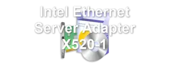 Intel Ethernet Server Adapter X520-1