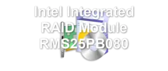 Intel Integrated RAID Module RMS25PB080