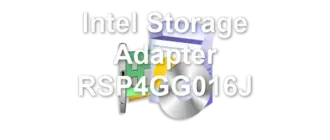 Intel Storage Adapter RSP4GG016J