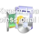 Kvaser Leaf Professional HS