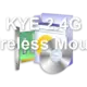 KYE 2.4G Wireless Mouse