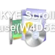 KYE Scroll Mouse(W4D5B16)