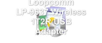 Loopcomm LP-9637 Wireless 1T2R USB Adapter