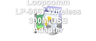 Loopcomm LP-9667 Wireless 300M USB Adapter