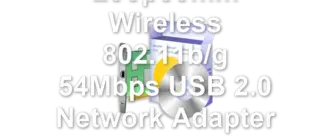 Loopcomm Wireless 802.11b/g 54Mbps USB 2.0 Network Adapter