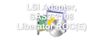 LSI Adapter, SAS2 2108 Liberator ROC(E)