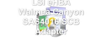 LSI eHBA Waimea Canyon SAS4016 SCB Adapter