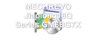 MECHREVO Jiaolong16Q Series GM6BG7X