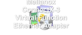 Mellanox ConnectX-3 Virtual Function Ethernet Adapter